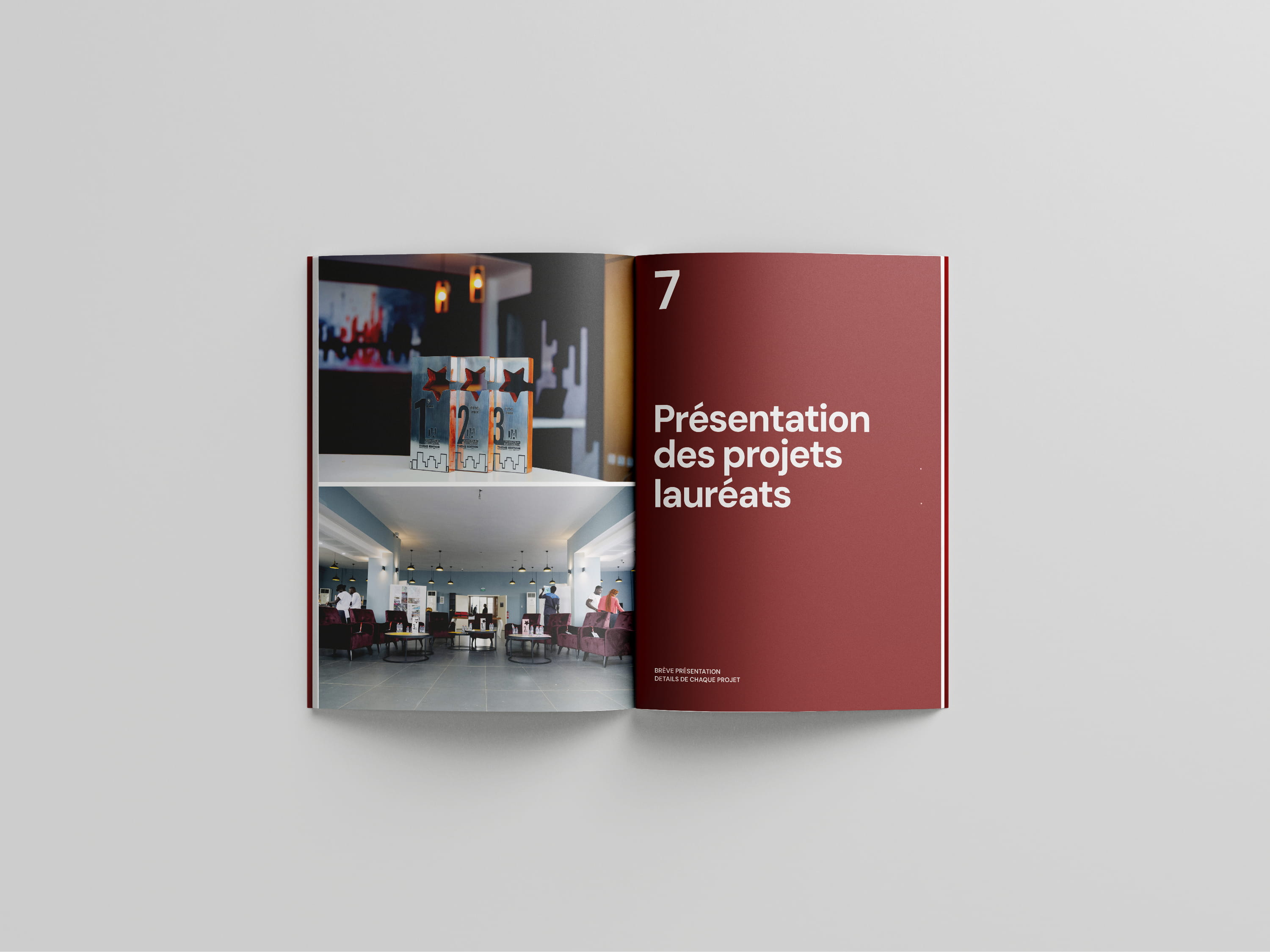 Project DASP 2025 Catalogue