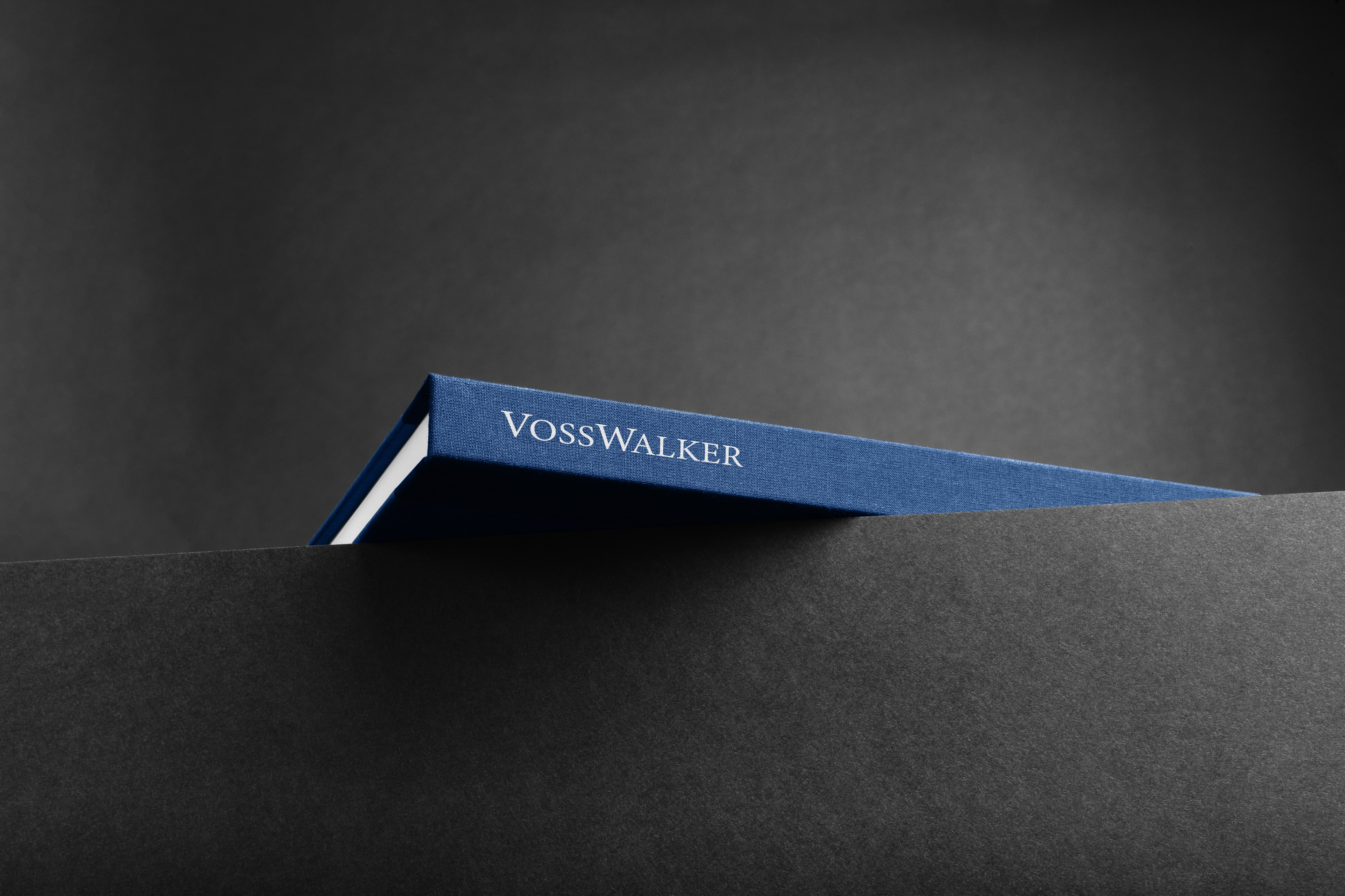 Project Voss Walker Estates